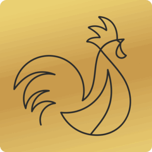 De Gribus Barneveld - favicon